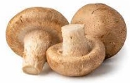 Грибы на белом фоне, как вырезки, здоровой пищей Стоковое Фото -  изображение насчитывающей концепция, гриб: 199043972
